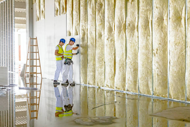 Best Commercial Insulation Contractor  in Lindsay, OK